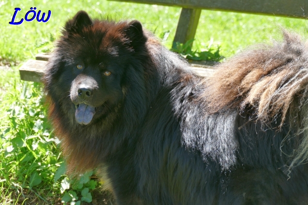 20.4.2025 - Howard bei der Piusallee